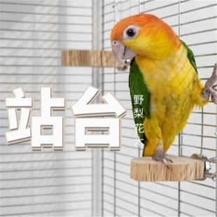 鹦鹉野梨花木站台鸟笼配件鸟站架鸟用跳台休息可固定跳板凯克玩具