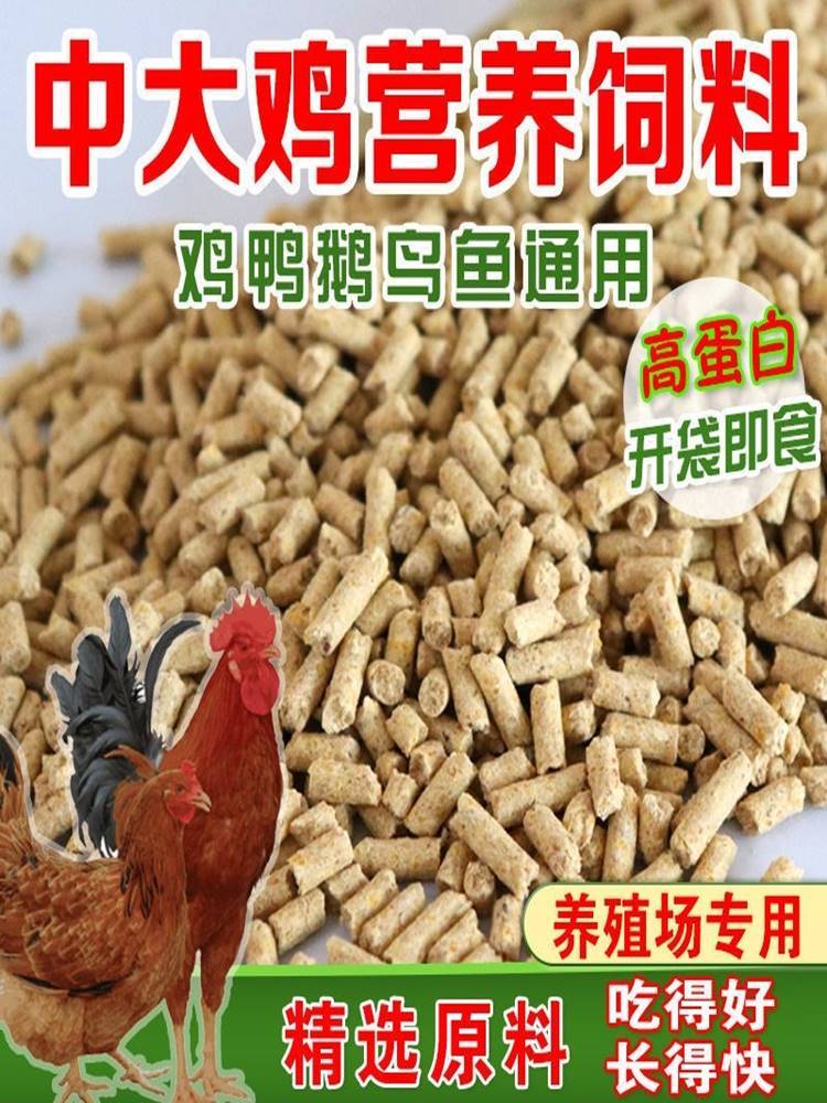 小鸡饲料20/100斤雏鸡饲料喂鸡鸭鹅鸟鸽子八哥大颗粒打窝鱼龟饲料