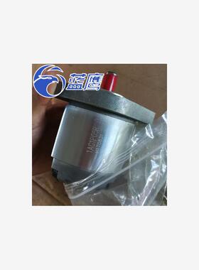 新款1AG1P01R/1GG1P01R/02R/03R/04R/05R/06R/08R/09R齿轮泵现货