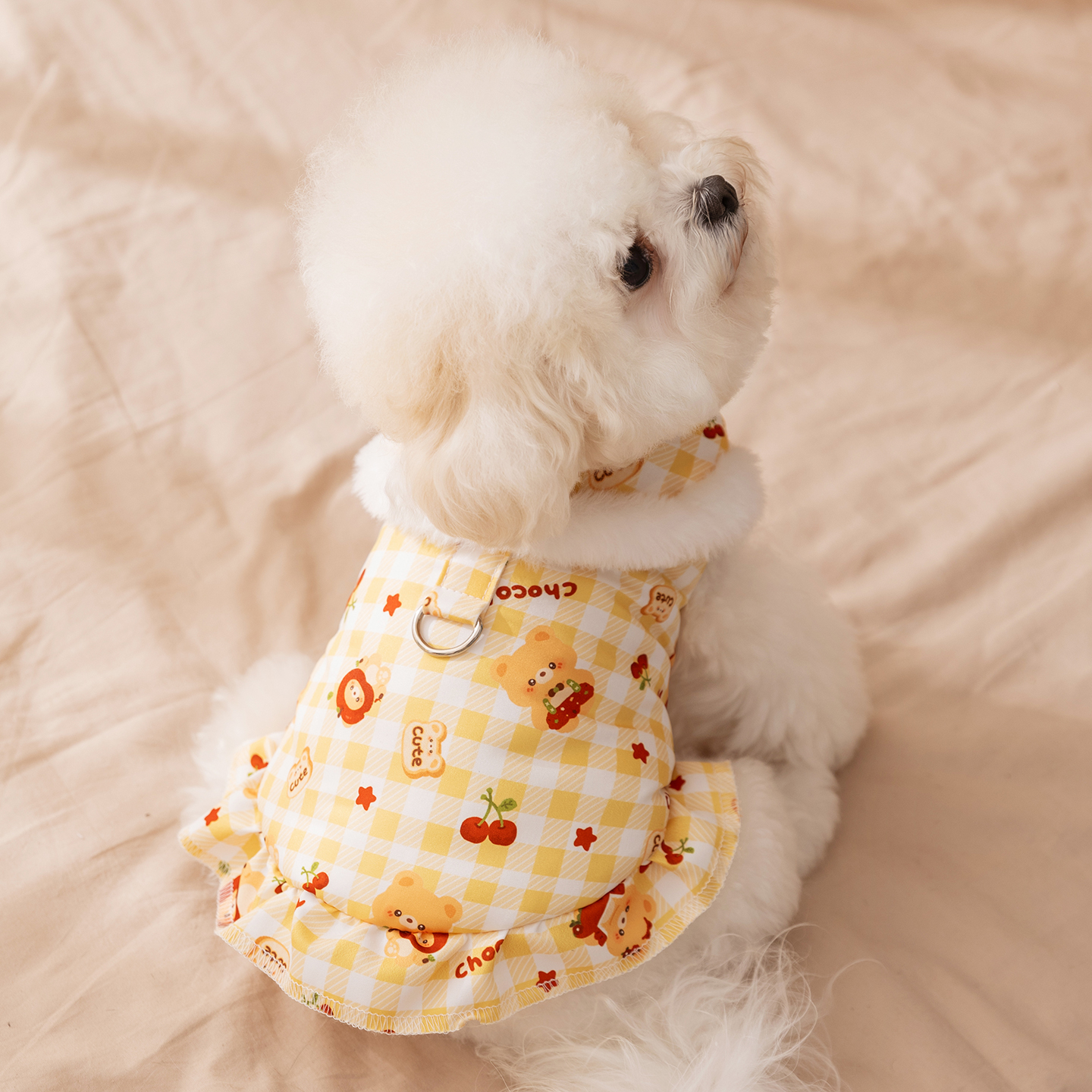 秋冬季狗狗衣服ins风满印小熊可牵引连衣裙中小型犬比熊宠物衣服