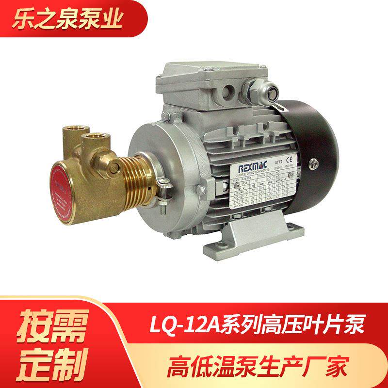 高压叶片泵高扬程低流量滑片泵 咖啡机/反渗透系统水泵增压泵