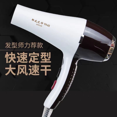 御风之神AIOLOS9948发廊专用大功
