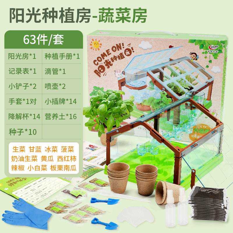 儿童种植阳光房花房创意种菜科学实验s套装小学生迷你手工diy玩具