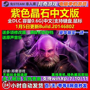 紫色晶石Stoneshard 中文版 全DLC 免steam 电脑PC单机游戏