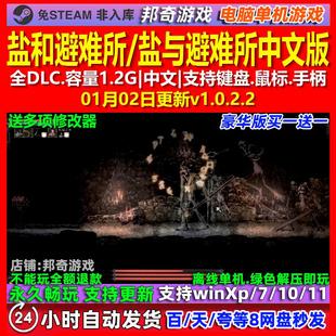 盐和避难所 中文版 全DLC 免steam 电脑PC单机游戏