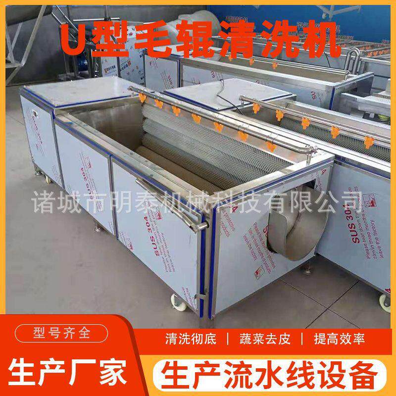 定制红薯U型毛辊清洗机白附子清洗去泥机马蹄荸荠毛刷去杂