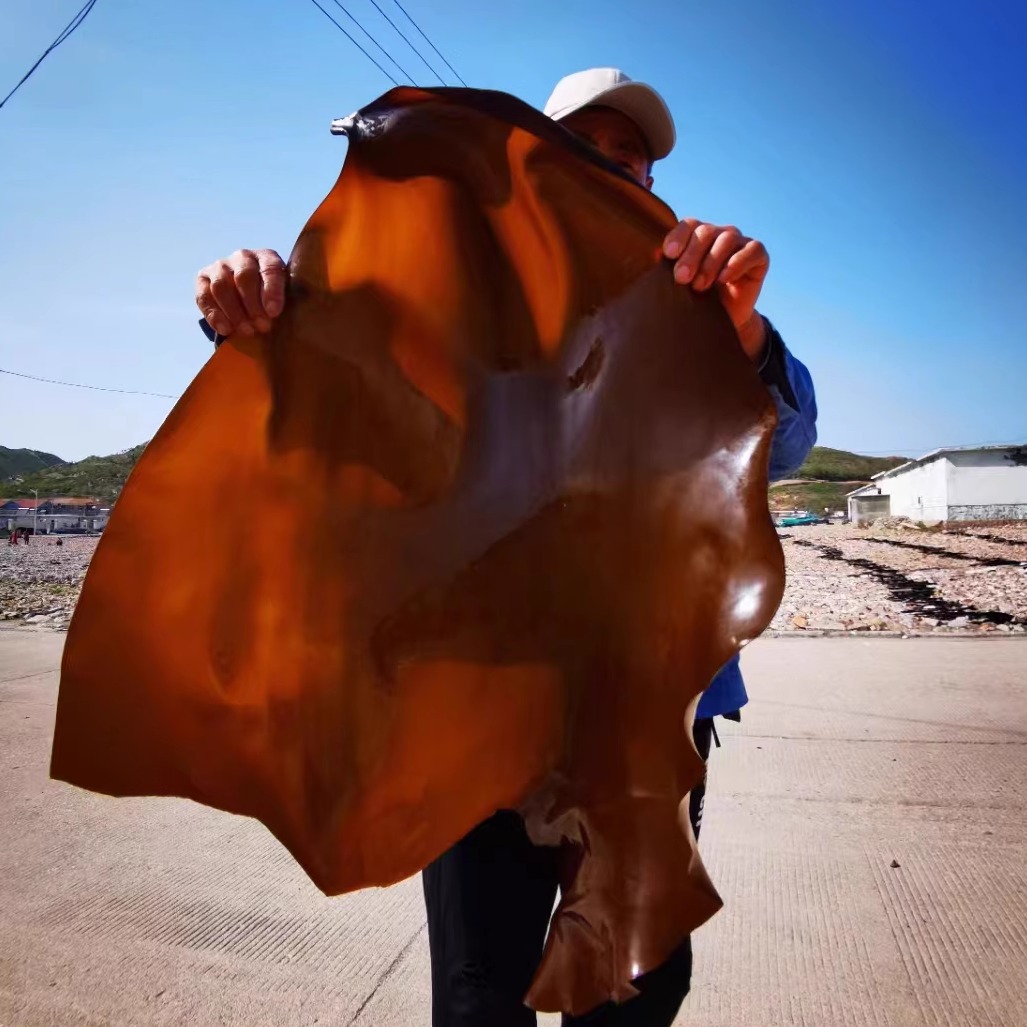 长岛最厚出口海带肉厚无泥沙特级