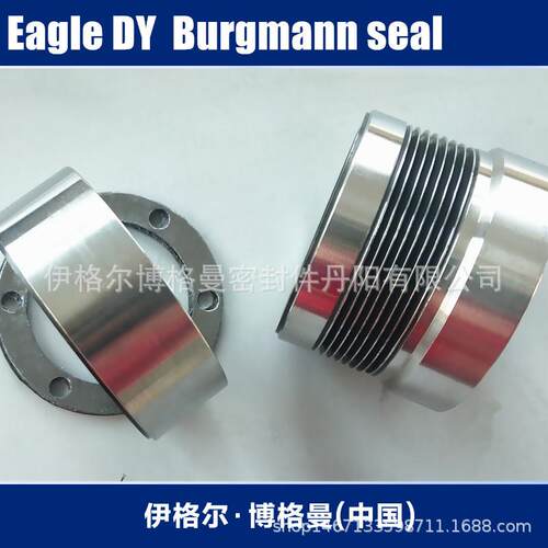 丹阳博格曼机械密封件DY46-50x8长春水泵厂滤液泵LCF65/350I机封