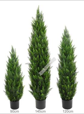 全网低价仿真松柏绿树高品质仿真圣诞树栽节DD231705日气氛装松饰