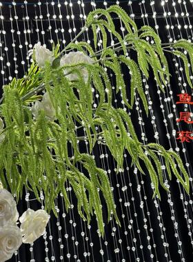 仿真花程鱼尾花葵鱼尾葵花厂发家直销基地直假花束卉婚庆插花工软