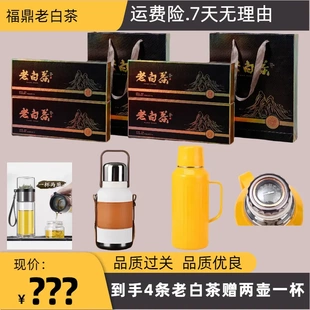 如火如荼 手提壺 茶水杯2016年福鼎磻溪老貢眉小方片時尚 機械壺