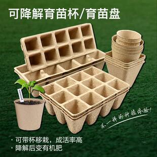 可降解育苗杯盘营养钵纸浆育苗钵营养杯培育盆一次性育苗盘批发