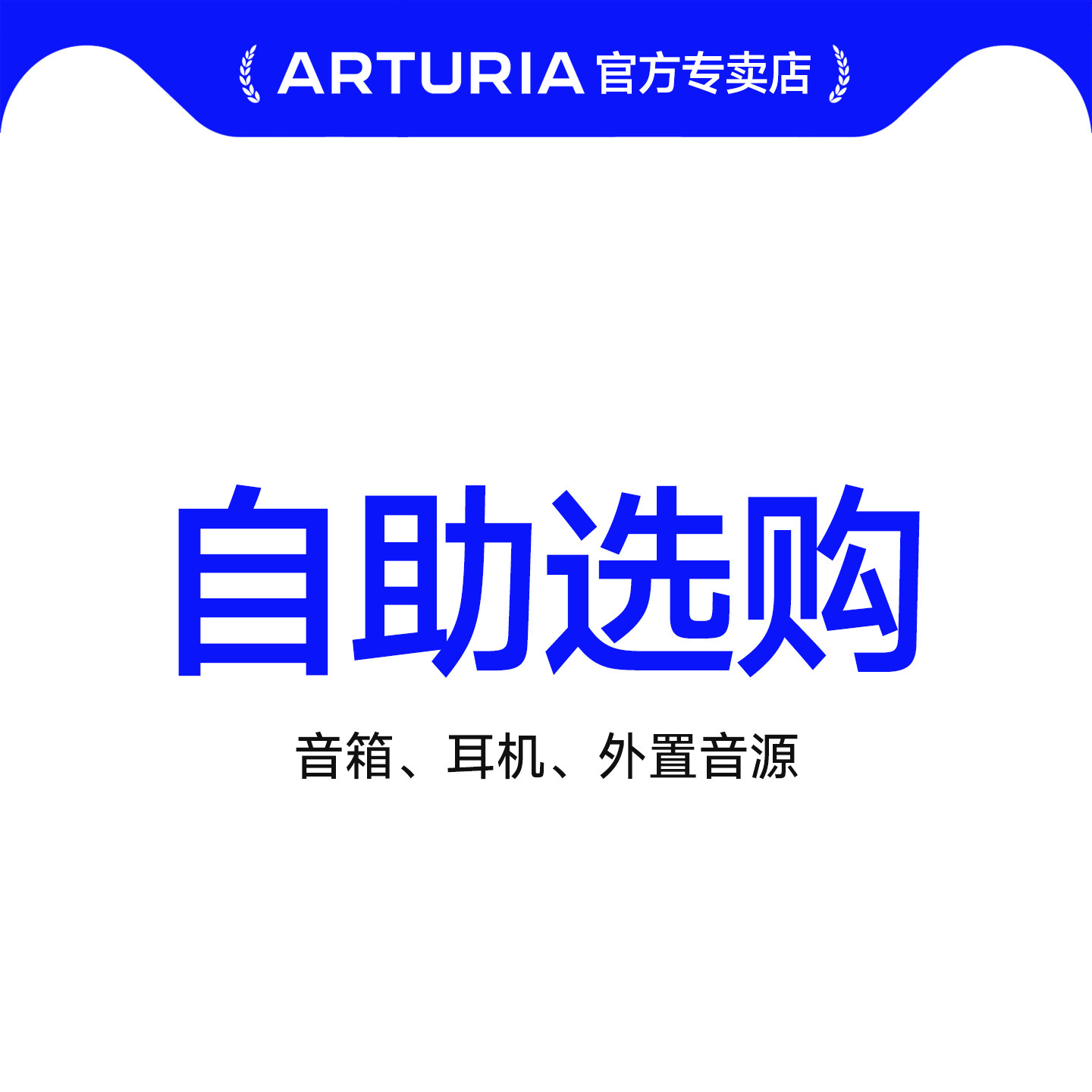 自助选购 监听音箱  外置音源
