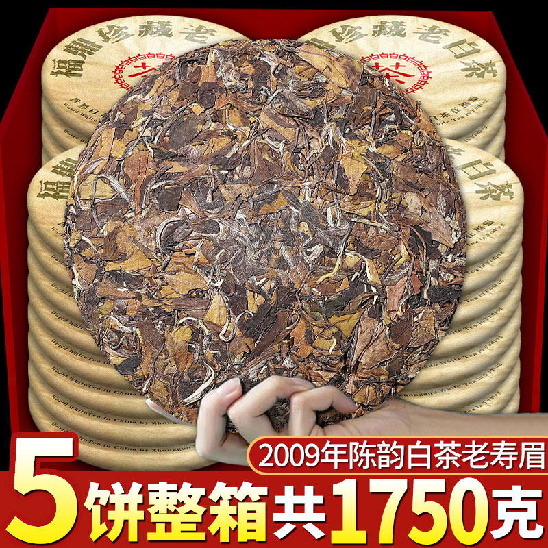 2009年枣香福建荒山陈韵白茶老寿眉压紧茶饼高山荒野老树老白茶