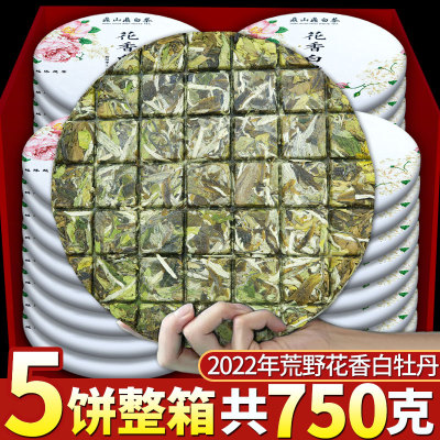 2022年花香福鼎荒山正宗荒野白牡丹新白茶巧克力茶饼