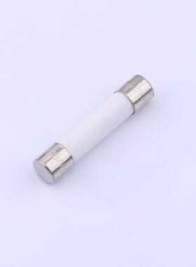 UT-F08 熔断器/电流保护器 优利德 600mA 1000V 快速熔断 D6.35xL