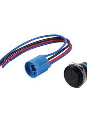 TP91932G124RA5150 按钮开关 圆形金属按钮开关两件套 带接插件