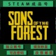 The Forest 森林之子 可联机 Sons steam成品号 可改绑 森林2