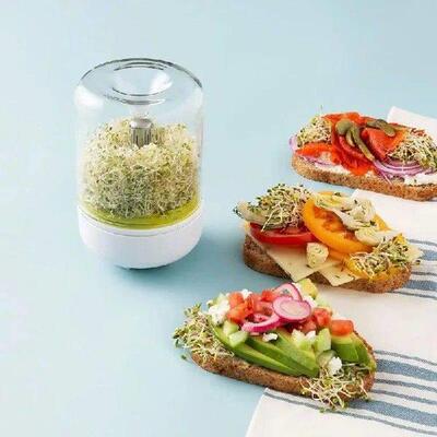 Countertop Sprouter Sprouts Growing Kit Reusable Household