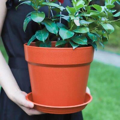 Plastic Flower Pots With Drainage Hole And Tray Small Pots