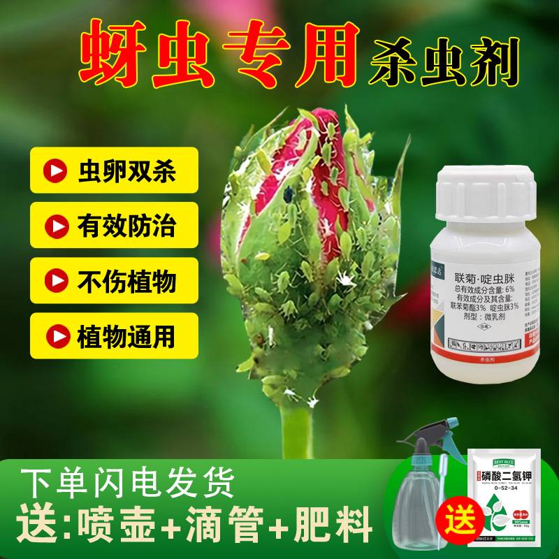 蚜虫专用药杀虫剂月季花病虫害常用药吡虫啉花卉植物喷雾特效花药-封面