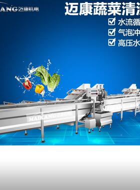 定制全自 动净菜 加工备预制JCX-100菜加工流水线水果蔬菜设清洗