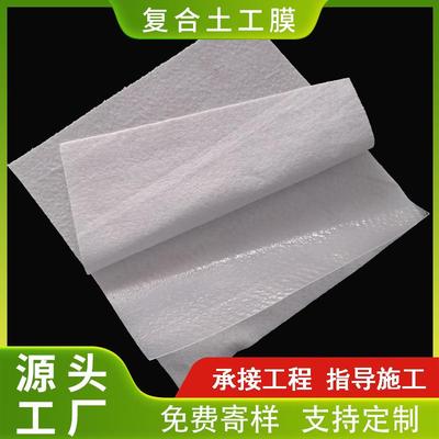 山东厂家生产 两布一膜 一布一膜防水土工布 人工湖堤坝防水复合