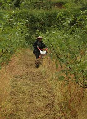 甩式汽大油割机刀 马VTK力园林碎草草还田机 开荒用除草机