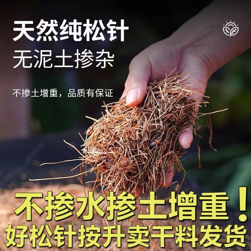 纯松针腐殖土君子兰专用土松针腐叶土腐熟透气兰花天然腐叶松针土