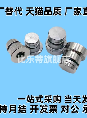 直线导轨定位销 偏心销 ICE31-T1/2/3/5/7 LLTA1/2/3/5/7加硬处理