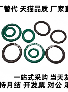 NPF12.5/14/15/16/18/20//21/22/22A/22.4/24氟胶FKM密封圈O型圈