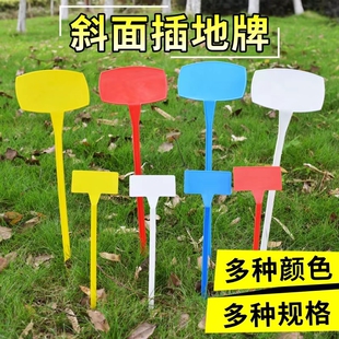 园艺标识牌插式苗圃一体式号牌地里名称育苗果树加厚名字蓝色指示