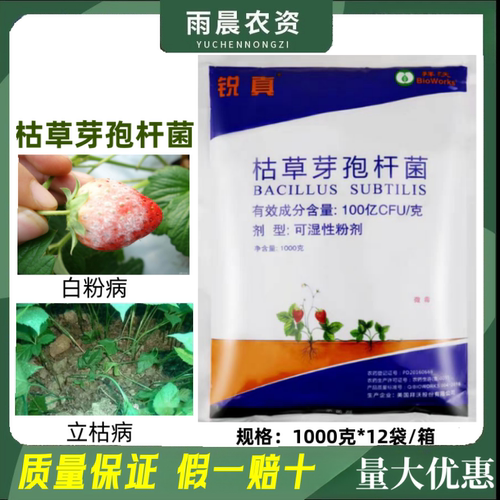 拜沃锐真枯草芽孢杆菌 草莓白粉病人参立枯病土传根部病害杀菌剂