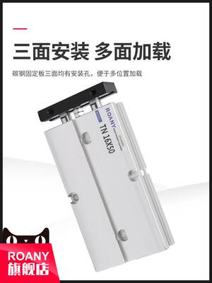 小型双轴双杠10气缸TN16/32*10/20X15X25X30X40X50X60X75X80X100S