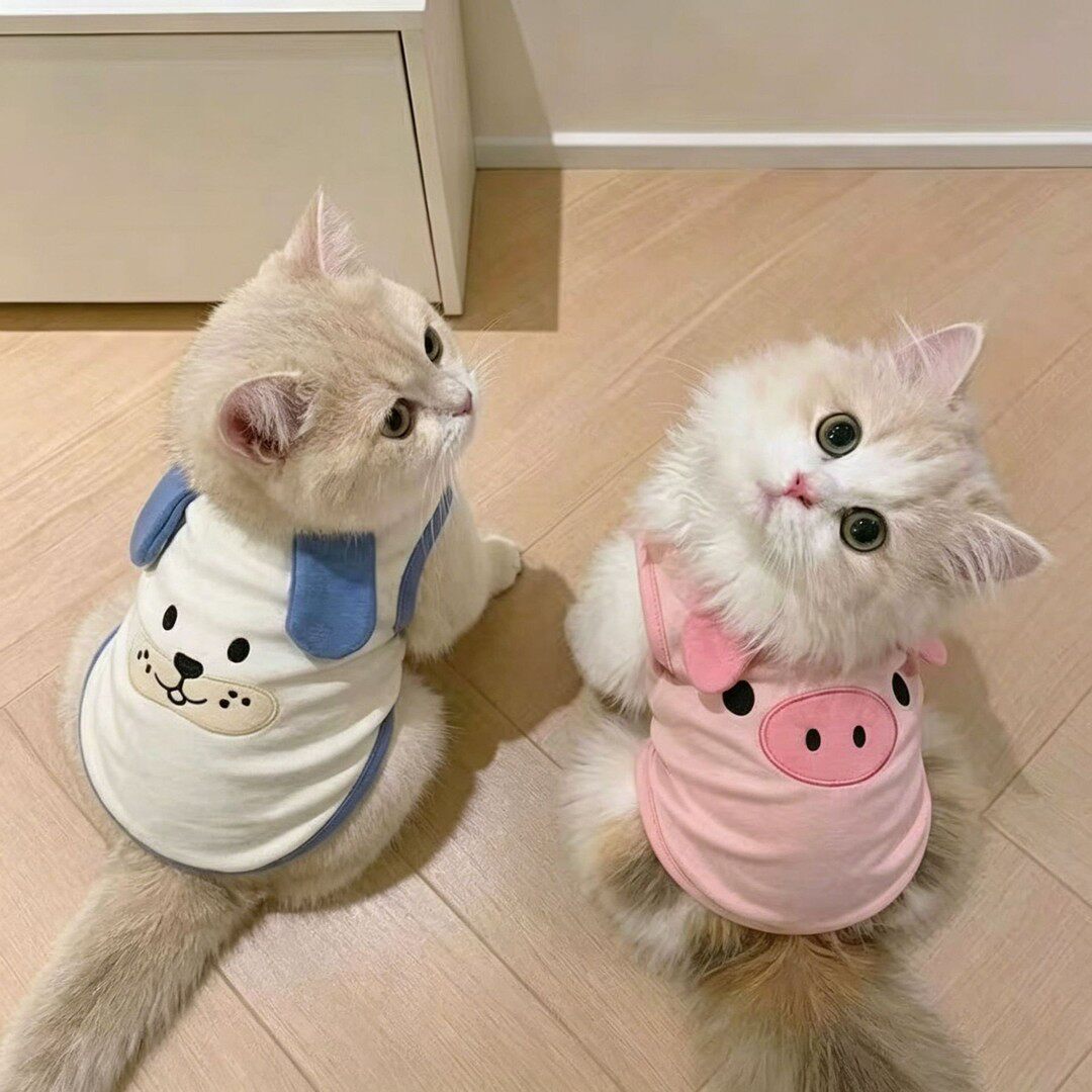 春秋新款可爱小猪猫咪狗狗衣服