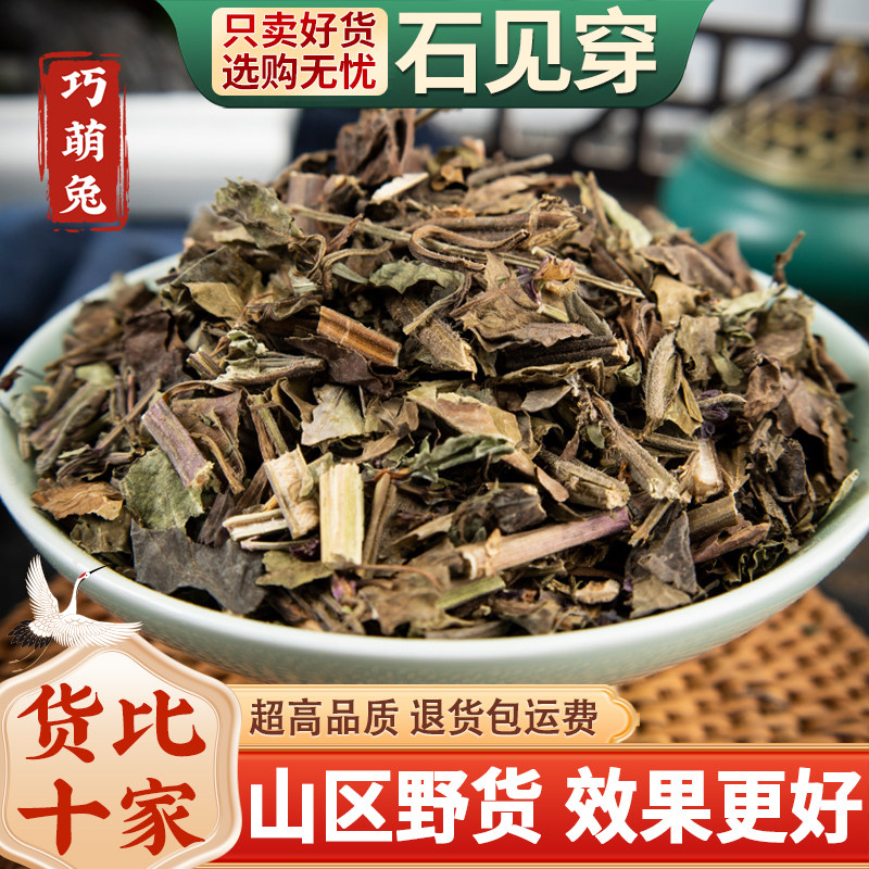 石见穿中药材500克正品 石见穿中草药月下红 石打穿 石大川新货
