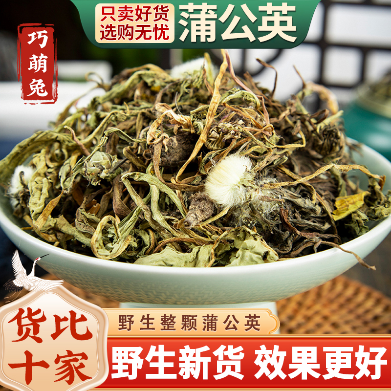 蒲公英带根干货500g新鲜浦公英非中药材官方正品不特级野生旗舰店