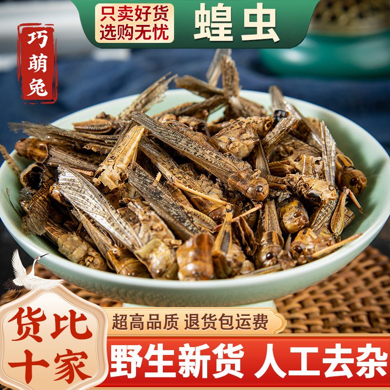 蝗虫干中药材 蚂蚱干蛐蛐 五谷虫 蝼蛄 蟋蟀 蟑螂鸟饲料500克包邮