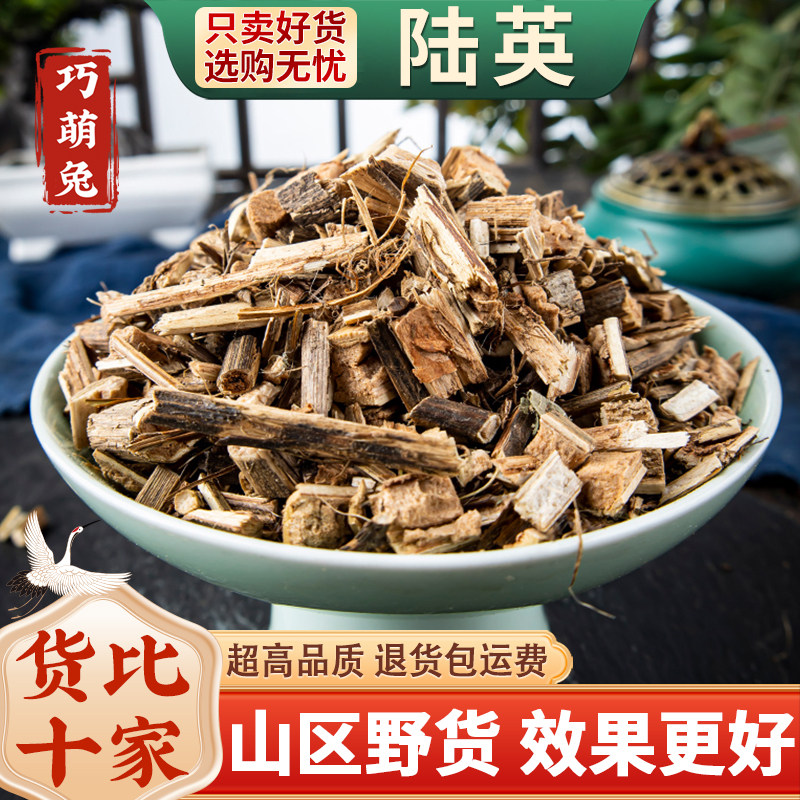 陆英中药材500克正品接骨草 陆英 排风藤 臭草 八棱麻 走马箭干货