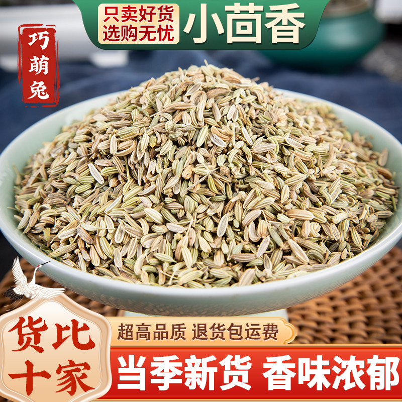 正宗小茴香中药材500g泡茶调料种子新鲜小回香纯粉非特级小荤香籽