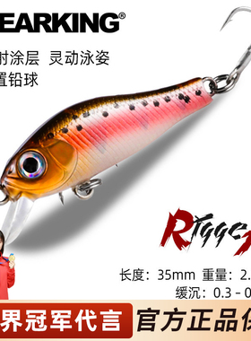 熊王A01缓沉微物米诺路亚饵35mm2.32g路亚假饵带舌板硬饵鱼饵