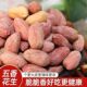 五香烤花生米新货免剥即食下酒菜山东炒货花生米休闲零食