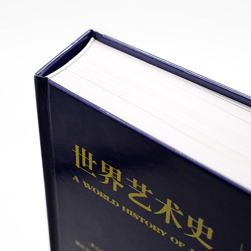 世界艺术史 第7版修订本 第7版修订本 经典案例 全球视野 深度解析 解读 艺术史论 高清印刷9787805017297
