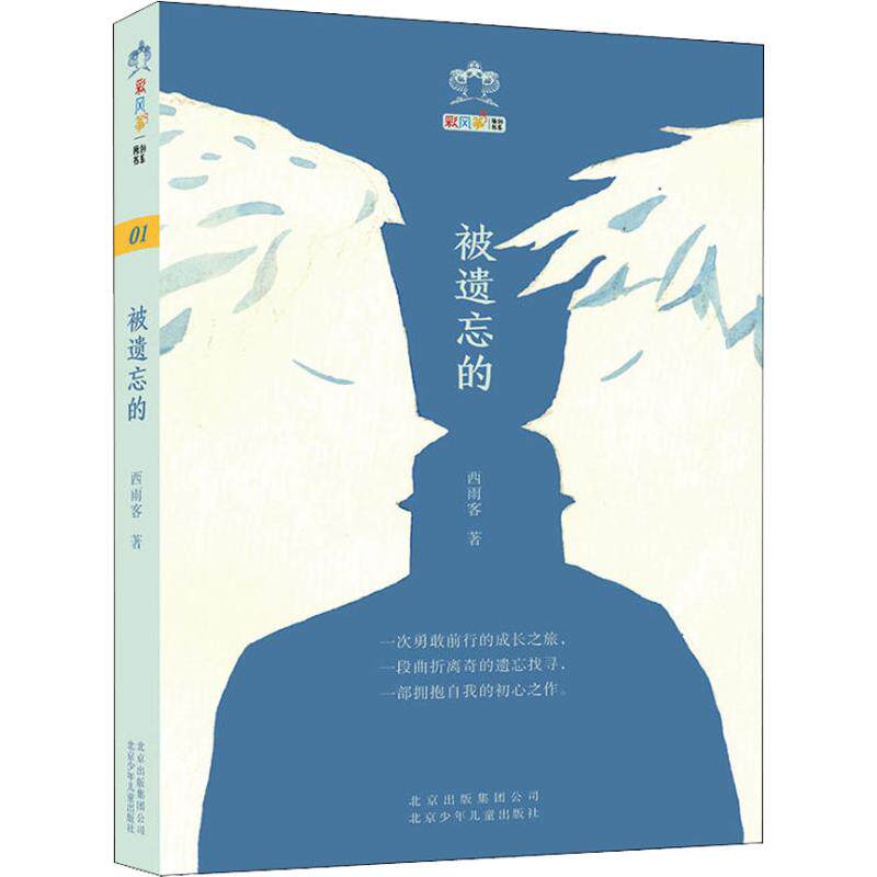 彩风筝原创书系?被遗忘的 彩风筝原创书系 被遗忘的故事 原创文学作品 唤醒童年记忆 经典故事合集 人文情感共鸣 9787530154977