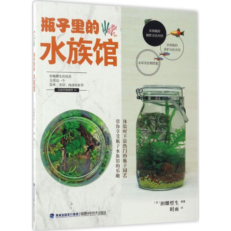 瓶子里的水族馆 微型水族造景 新手入门教程 DIY生态瓶指南 家庭水景设计 创意鱼缸布置 生态系统解析 景观搭配技巧 9787533552497