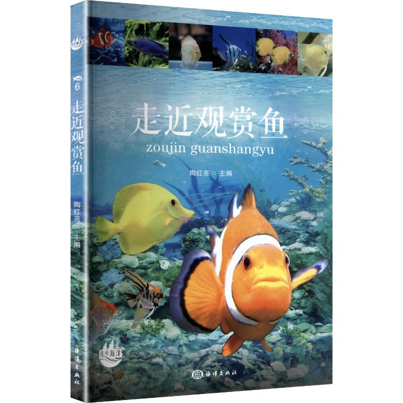 走近观赏鱼 家庭饲养指南 子读 解决新手养鱼难题 精美插图 知识体系 9787521014624