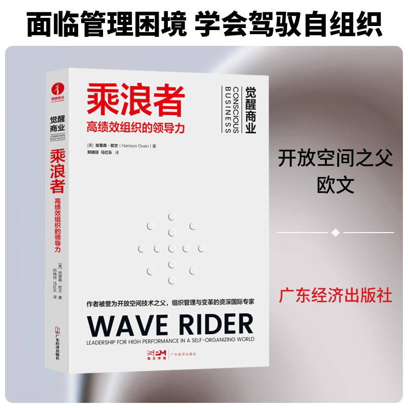 乘浪者:绩组织的领导力 领导力提升指南 团队管理 战略决策制定 实战案例分析 解读指南 经典理论书籍9787545482584