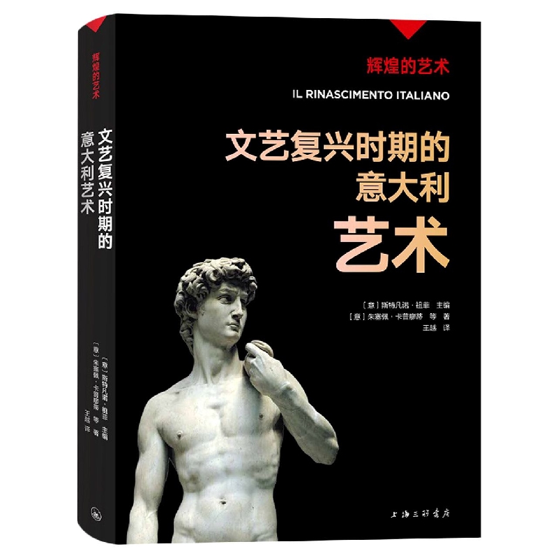正版包邮 文艺复兴时期的意大利艺术 （意）斯特凡诺·祖菲 9787542679543 上海三联书店