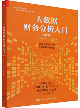 正版包邮 大数据财务分析入门(第2版) [美]吉姆·林德尔（Jim Lindell） 9787300302720 中国人民大学出版社