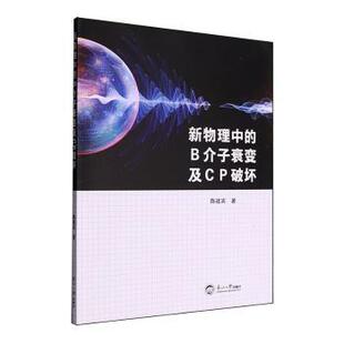 正版包邮 新物理中的B介子衰变及CP破坏 陈建宾著 9787551737814 东北大学出版社